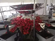 Multi Function Tomato Fruits Weighing And Packing Machine With Multihead
