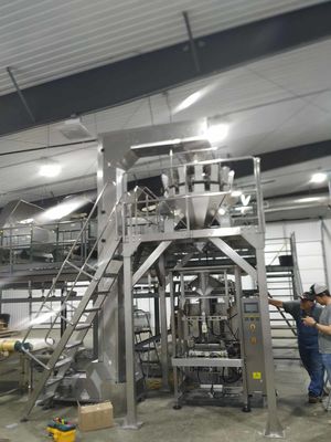 V520 Food Grains Packing Machine
