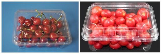 Vegetables Fruits Salad Plastic Container Packaging Machine