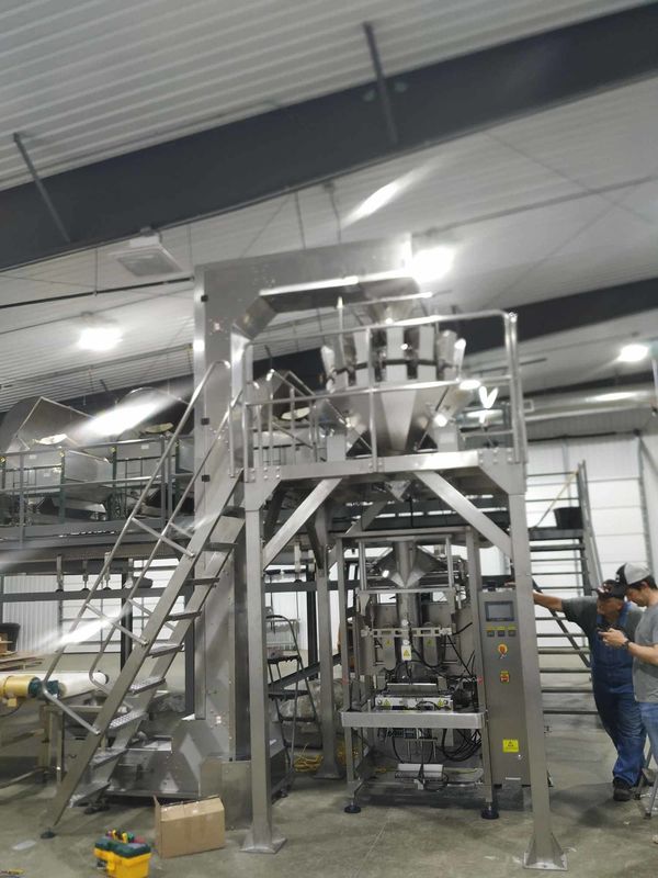 V520 Food Grains Packing Machine
