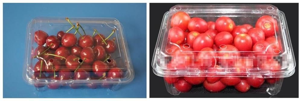 Vegetables Fruits Salad Plastic Container Packaging Machine