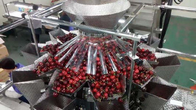 Food Snacks Semi Automatic Packing Machine 304SS With Multihead Weigher