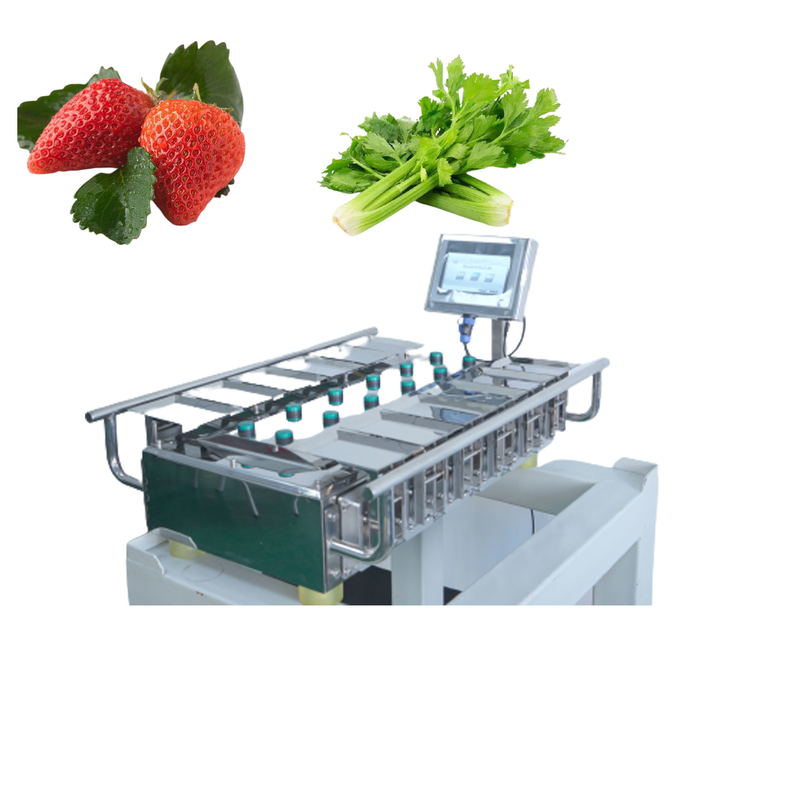 250g 500g 1000g Manual Packaging Machine Vegetables Fruits Weighing