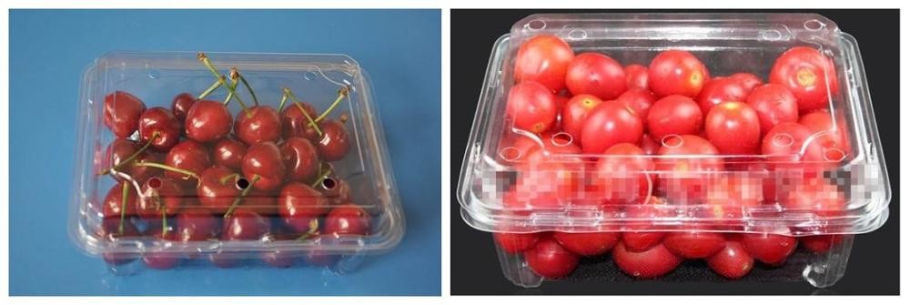 Vegetables Fruits Salad Plastic Container Packaging Machine
