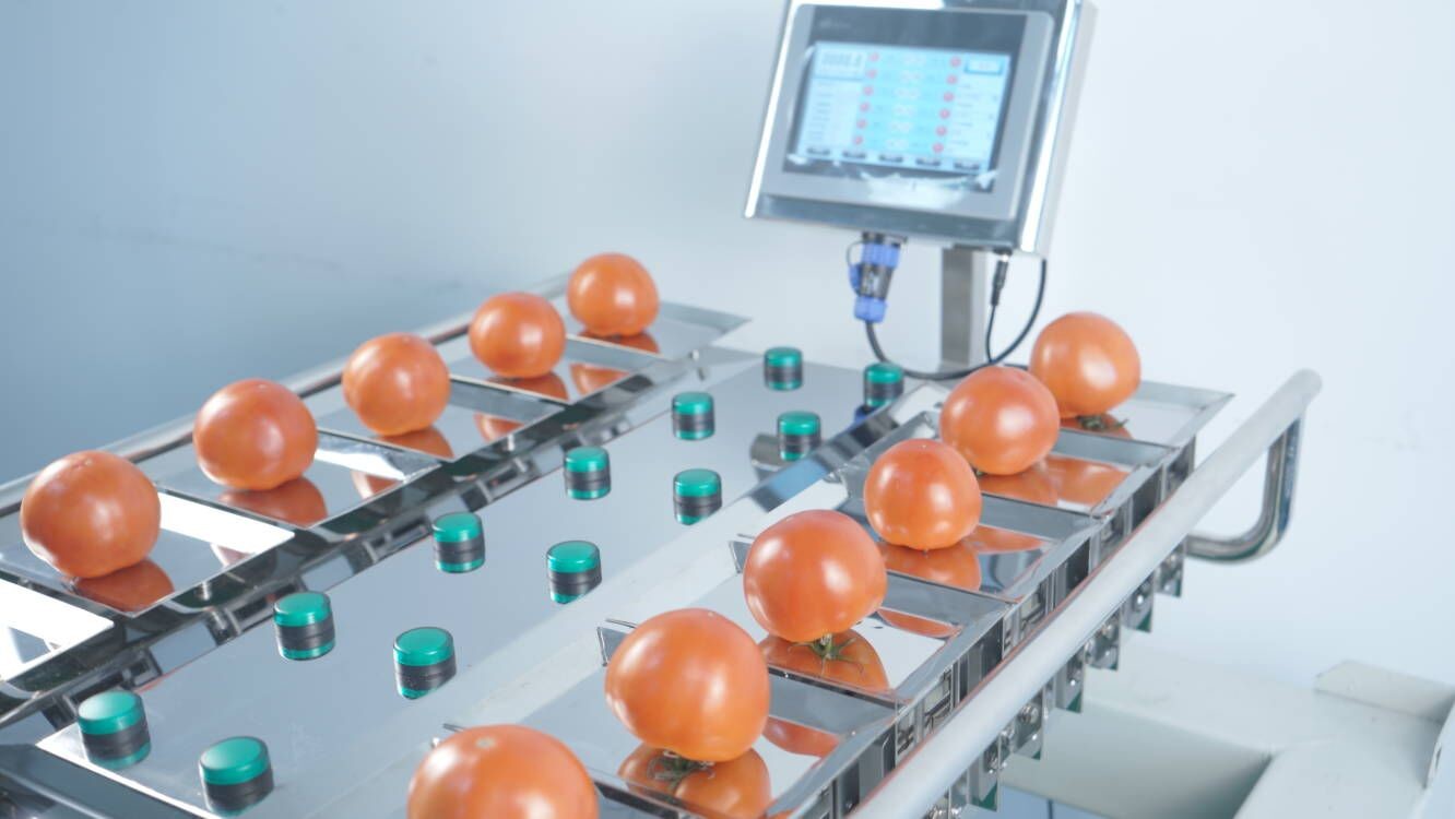 250g 500g 1000g Manual Packaging Machine Vegetables Fruits Weighing